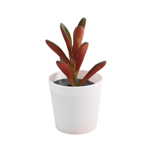 Artificial Haworthia Plant Faux Potted Greenery Mini Desk Plant Decor Low Maintenance Indoor Tabletop Fake Haworthia For Home Office Shelf Kitchen Modern Accent Piece
