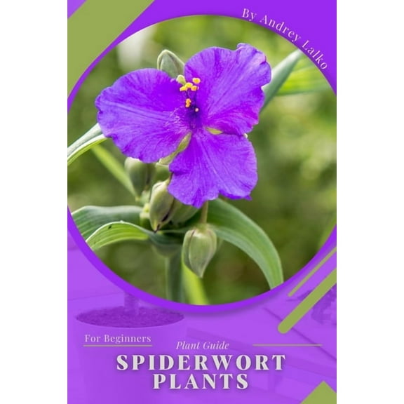 Spiderwort Plants: Plant Guide