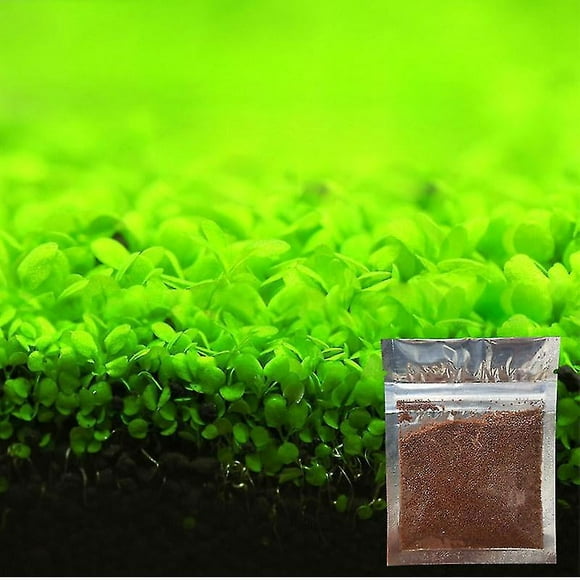 Aquarium Ornament Plant Seeds Fish Tank Landscape Decoration Water Grass Seed Easy To Grow