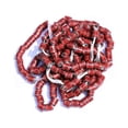 thumbnail image 1 of 50x 2023 Pigeon Leg Rings Bird Pigeon Foot Rings Foot Bands for Bantam Finch Canary Brown, 1 of 9