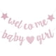 thumbnail image 1 of Bienvenido Baby Banner Baby Shower Hanging Flag Banning Género Revelación Decoración de la fiesta, 1 of 6