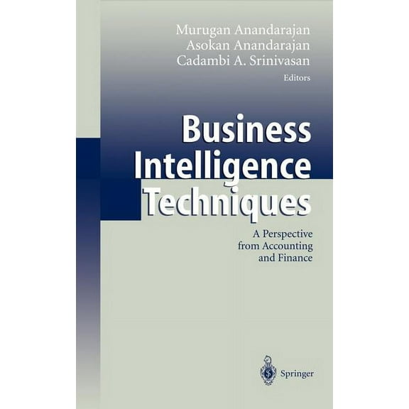 Business Intelligence Techniques: A Perspective from Accounting and Finance, (Hardcover)