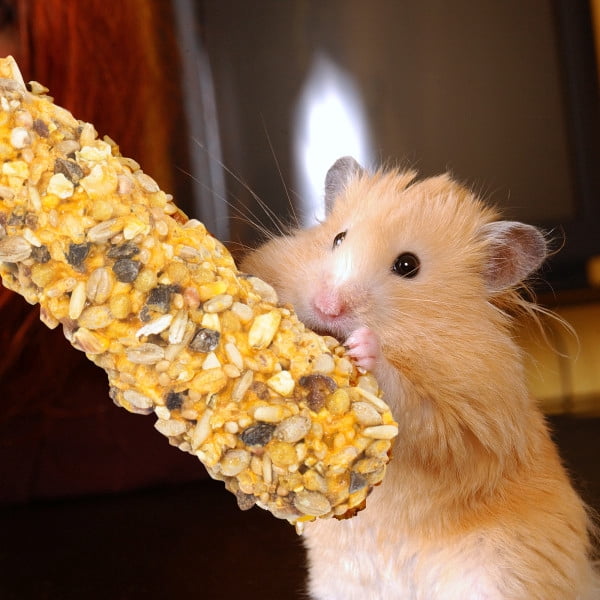 MENU Treat Sticks for Guinea Pig Fruit & Honey Flvr 3.5oz–2 Sticks