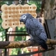 thumbnail image 5 of Hzzsbu Chewing Biting Parrot & Small Bird Toy Cork with Games for Hiding, 5 of 7