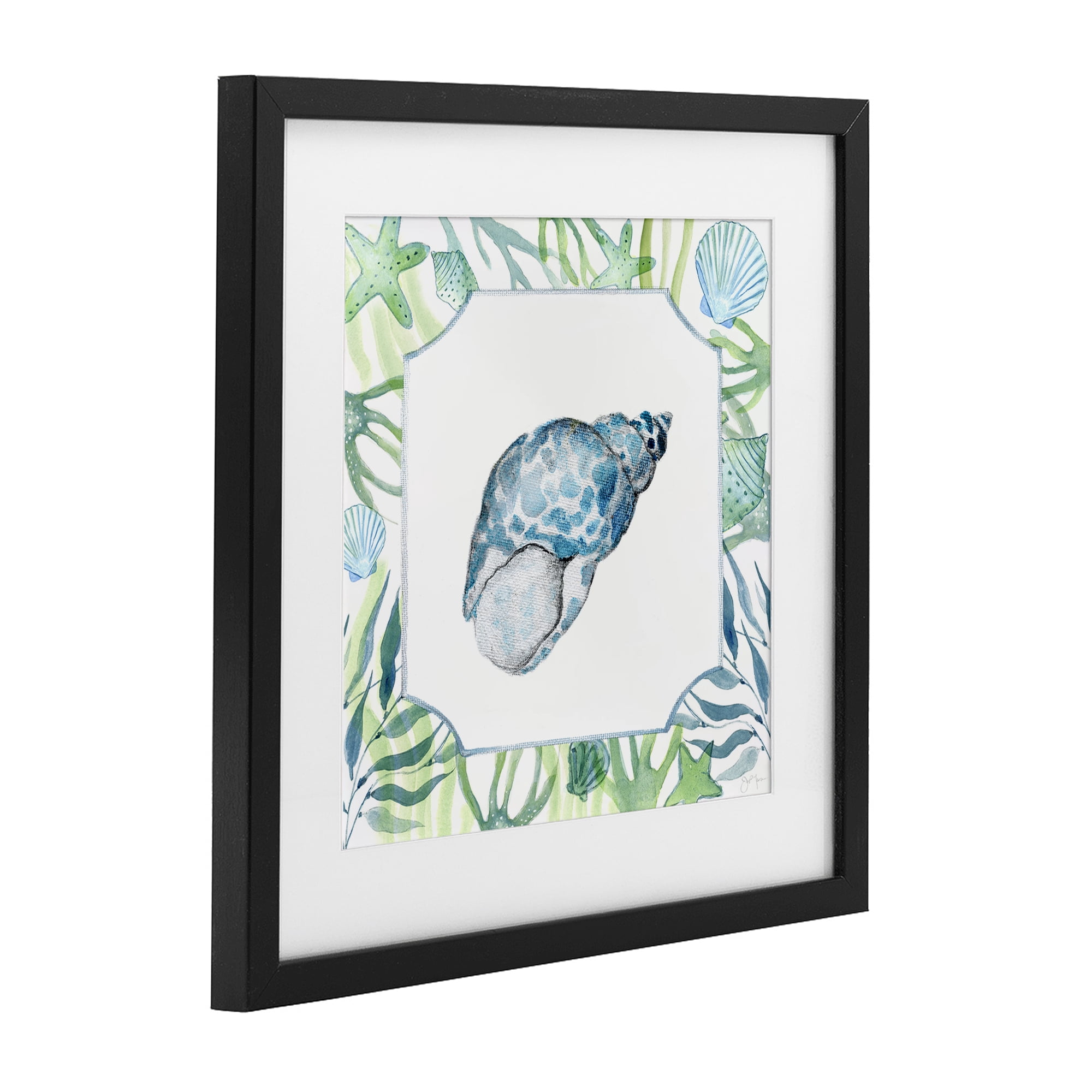 Stupell Industries Spotted Cowrie with Seaweed Black Framed Print Under Glass, design by Janet Tava