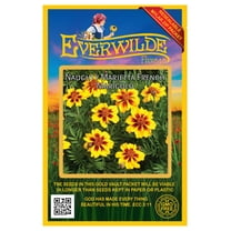 Everwilde Farms - 500 Naughty Marietta French Marigold Garden Flower Seeds - Gold Vault Jumbo Bulk Seed Packet