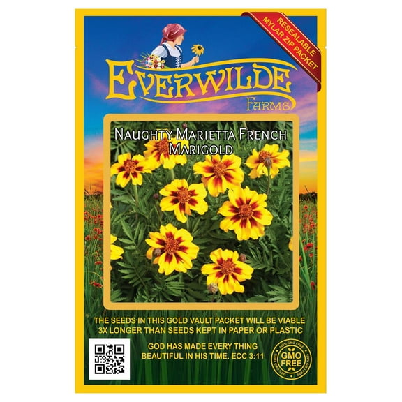 Everwilde Farms - 500 Naughty Marietta French Marigold Garden Flower Seeds - Gold Vault Jumbo Bulk Seed Packet