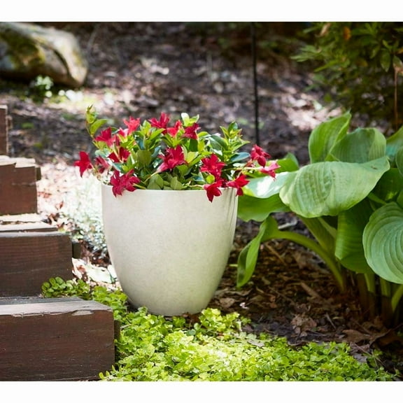 Southern Patio Egg Planter Bone 9" Dia.