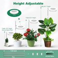 thumbnail image 4 of Plant Grow Light,Full Spectrum LED Plant Light for Indoor Plants, Height Adjustable Growing Lamp with Auto On/Off Timer 3/9/12H, 9 Dimmable Brightness, Ideal for Small Plants (Single lamp), 4 of 7