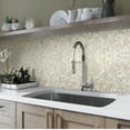 thumbnail image 2 of 20 pack Shell White 11.6-in x 11.6-in Polished Natural Stone Penny Round Patterned Wall Tile (18.69 sq. ft./Case), 2 of 2