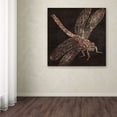 thumbnail image 4 of Trademark Fine Art "Dragonfly" Canvas Art by Color Bakery, 4 of 4