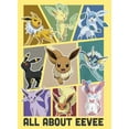 thumbnail image 2 of Junior's Pokemon All About Eevee Eeveeloution Racerback Tank Top Banana Medium, 2 of 4