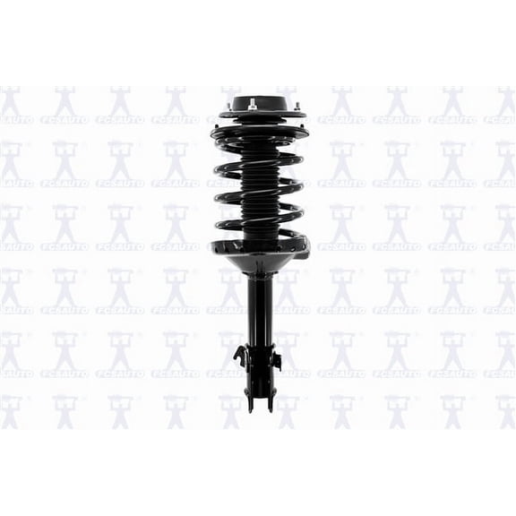 Suspension Strut and Coil Spring Assembly