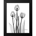 thumbnail image 2 of Koetsier, Albert 12x14 Black Modern Framed Museum Art Print Titled - Tulips Black and White, 2 of 5