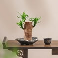 thumbnail image 5 of HHGBAD New Brazilian Wood Water Culture Flower Pot - Large Ceramic Planter for Indoor/Outdoor Use,Durable & Stylish Desktop Decoration, 5 of 6