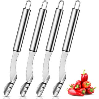 DIYOO Wireless Electric Fruit Vegetable Corer - Professional Core Remover  Tool with 2 Cutter Heads for Pineapple Zucchini, Squash, Tomato, Eggplant