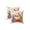 A002- B, variant on Seasonal Accent Pillows Set of 2 Pillow Covers Fall Pumpkin Decorative Throw Pillows Rustic Farmhouse Decor for Couch Living Room