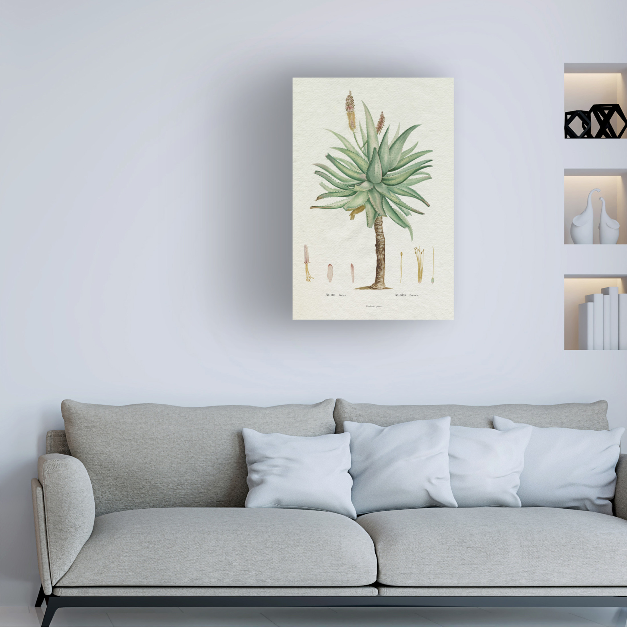 Trademark Fine Art Pierre Redoute  Redoute Succulent I Canvas Wall Art