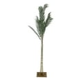 thumbnail image 1 of Palmera Artificial Iluminada, Palmera Falsa Iluminada De 5 Pies IP44, Iluminación Brillante Impermeable Para Fiesta Tropical, 1 of 7