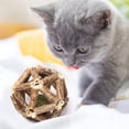 thumbnail image 5 of Catnip toys kitten teeth cleaning tools cat chew toys, 5 of 5