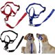 thumbnail image 1 of Collar de cabeza acolchado para perros, cabestro de entrenamiento, herramienta de entrenamiento que evita que tiren, 1 of 4
