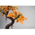 thumbnail image 5 of Penn-Plax Deco-Replicas Bonsai Tree Aquarium Decoration – Orange – Safe for Freshwater and Saltwater Fish Tanks – 8” Height, 5 of 7