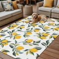 thumbnail image 2 of Fsddascl Lemon Leaves Outdoor Rug for Patio/Deck/Porch, Non-Slip Large Area Rug 5 x 8 Ft, Summer Botanical Indoor Outdoor Rugs Washable Area Rugs, Reversible Camping Rug Carpet Runner, 2 of 5