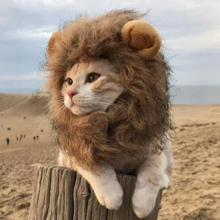 Lion Mane Wig Pet Hair Headgear For Small Dog And Cats Funny Cat Kitty Little Puppy Costume - Adorable Pet Hat for Christmas &