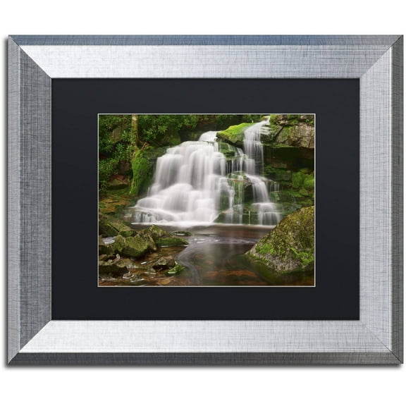Trademark Fine Art 'Elakala Falls' Canvas Art by Michael Blanchette Photography, Black Matte, Silver Frame