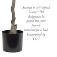 thumbnail image 5 of The Mod Greenhouse Faux Green Olive Tree in a Black Matte Planter Pot 72, 5 of 5