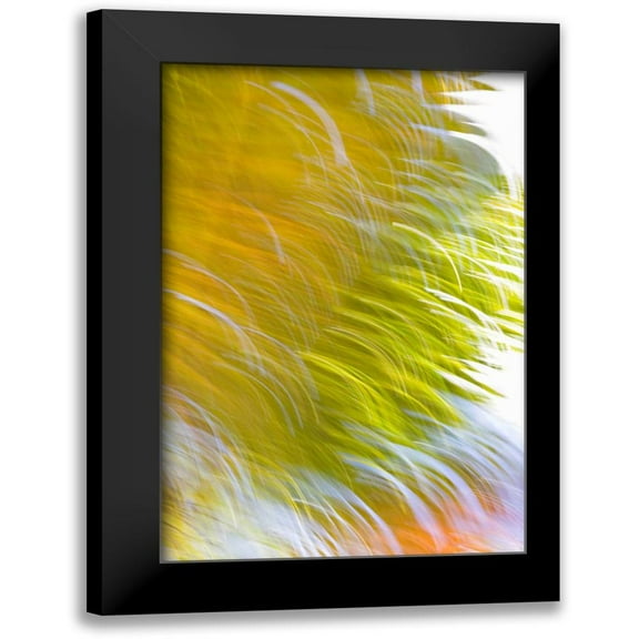 Millet, Karyn 11x14 Black Modern Framed Museum Art Print Titled - In Motion I