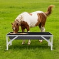 thumbnail image 4 of Long Large Capacity Feeder, Livestock Feed Trough, Feed Trough with Stan, 4 of 8