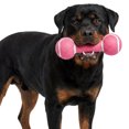 thumbnail image 1 of One Paw, Barbell Dog Toy, Rubber and Polyester, Fun Toy, Pink, for Dogs, 1 of 7