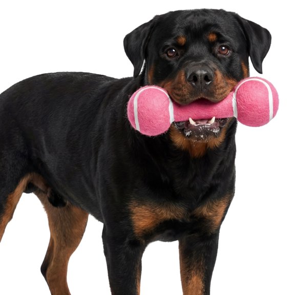 One Paw, Barbell Dog Toy, Rubber and Polyester, Fun Toy, Pink, for Dogs