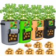 thumbnail image 1 of Bolsas para cultivo de patatas DiCandle 10 galones paquete de 4 transpirables, 1 of 6