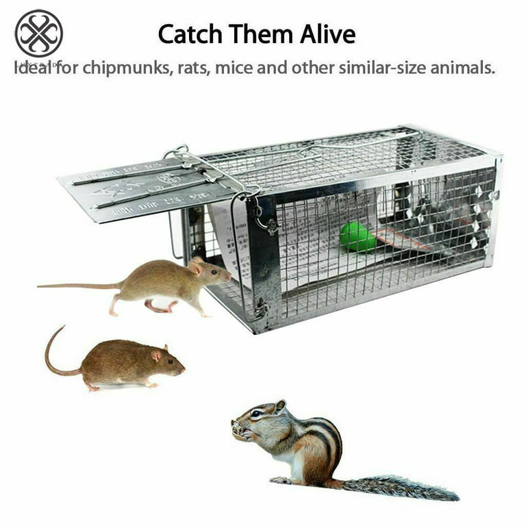  Kittmip 6 Pieces Humane Rat Trap Chipmunk Rodent Traps 10.6 x  5 x 5 Inch Small Mouse Trap Squirrel Trap No Kill Animal Trap Live Rat Trap  for Indoor Outdoor