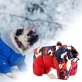 thumbnail image 4 of Ropa de invierno para perros Gloria abrigo de invierno Rojo M, 4 of 9