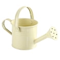 thumbnail image 3 of BELUPAI Shower Watering Can Portable Wrought Iron Sprinkled Metal With Handle Gardening Tools Plant Spray, 3 of 15
