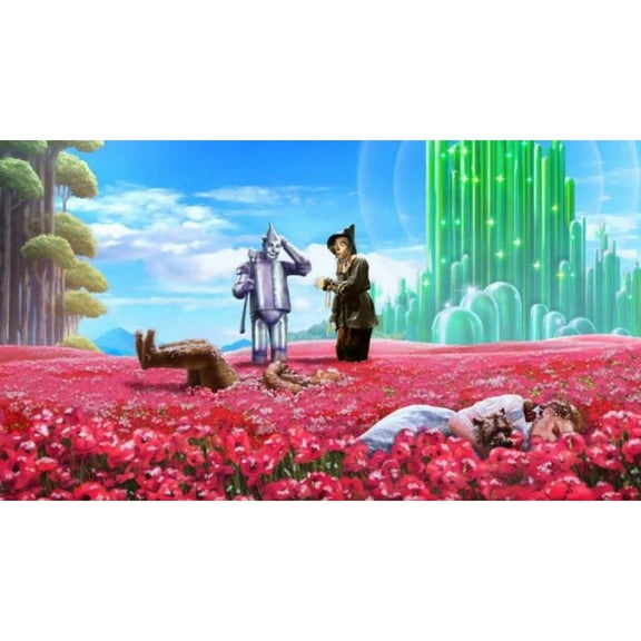 Adult DIY 5D Diamond Painting Kit, Wizard of Oz Series Art Round Diamond, Full Diamond Diamond Embroidery Kit, Mosaic Cross Stitch Craft Home Wall Decoration