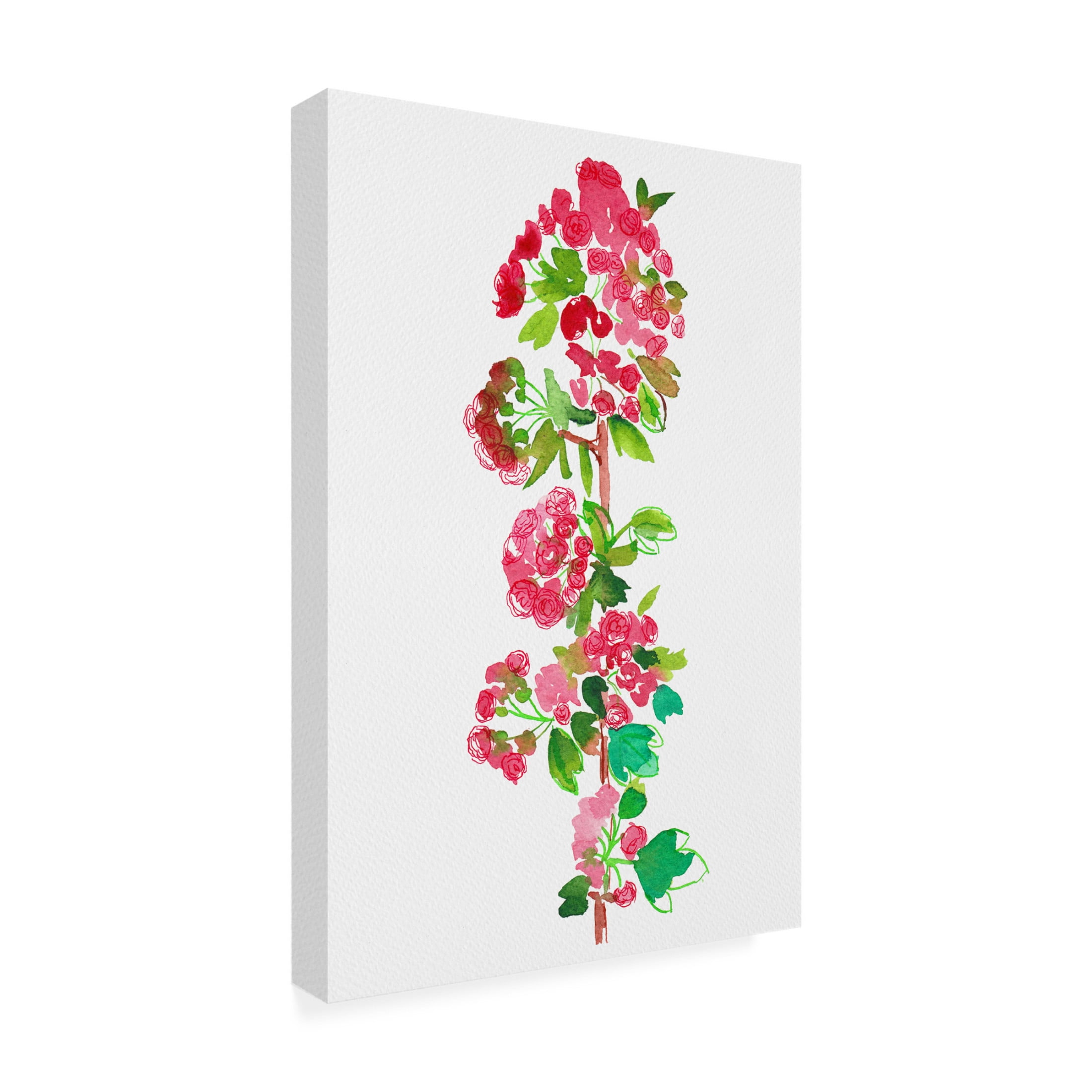 Trademark Fine Art Kata Botanical Crataegus laevigata 'Paul's Scarlet' Canvas Wall Art