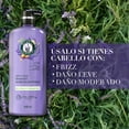 thumbnail image 3 of Acondicionador Herbal Essences Anti-Frizz lavanda & Aceite de Almendras 600 ml, 3 of 5