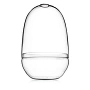 Bloomingville Large Egg Shaped Glass Terrarium, Clear
