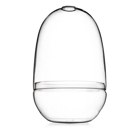 Bloomingville Large Egg Shaped Glass Terrarium, Clear
