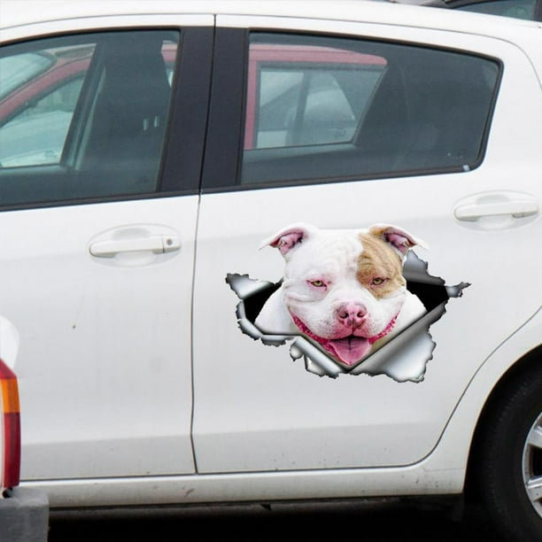 12+ Dog Catching The Car