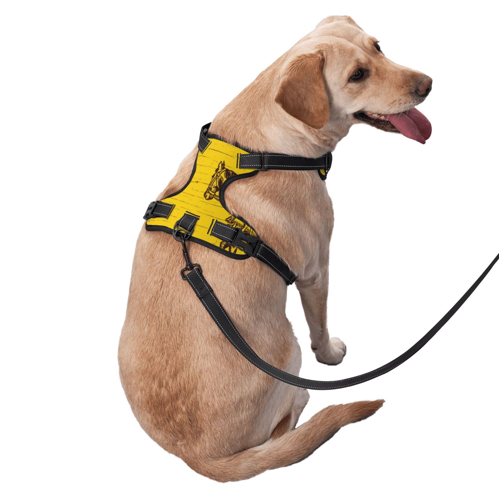 Vsdgher Western Desert Cowboy 1 Dog Harness, No-Pull Pet Harness, Dog Vest, Pet Vest for Small to Large Dogs-X-Large