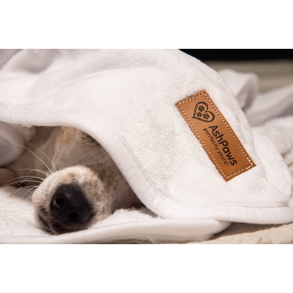 AshPaws Reversible Pet Blanket 35x55 - Soft Sherpa & Fleece Throw for Dogs and Cats - Double Layer Washable Blanket for Couch, Bed, Sofa & Car - Large Blanket for Medium Large Pets