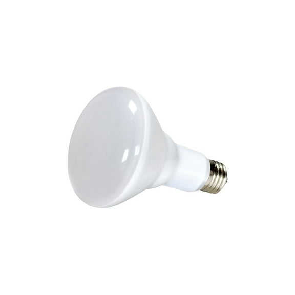 10BR30/LED/2700K/120V/D