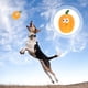 thumbnail image 2 of 2 unids Pet Taser Squeaker Dientes de pulido Dog Perro Pumpkin Formado Juguete Squeaky, 2 of 5