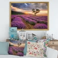 thumbnail image 3 of Designart 'Dramatic Clouds and Sunrise Over Lavender Field VIII' Farmhouse Framed Art Print, 3 of 4