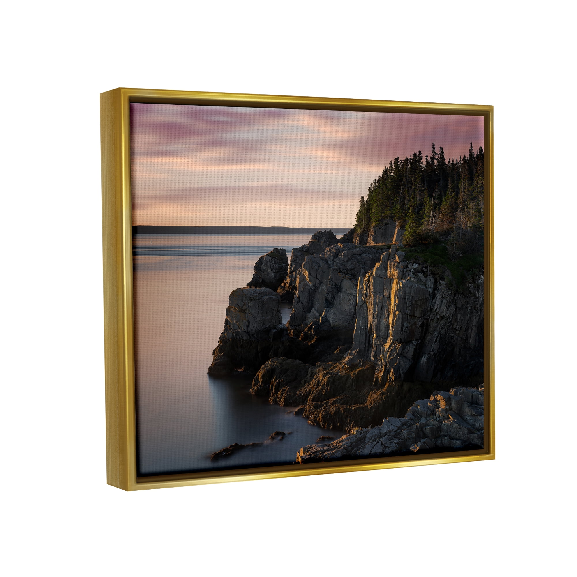 Stupell Rocky Cliff Seaside Nature Landscape Photography Gold Floater Framed Art Print Wall Art